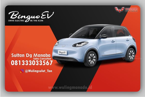BINGUO EV